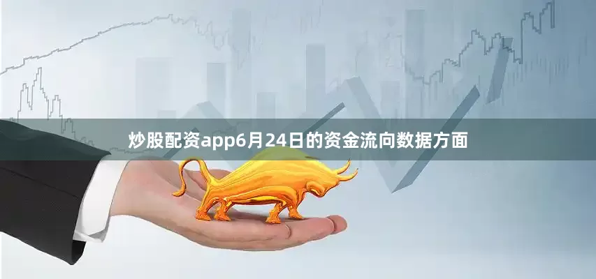 炒股配资app6月24日的资金流向数据方面