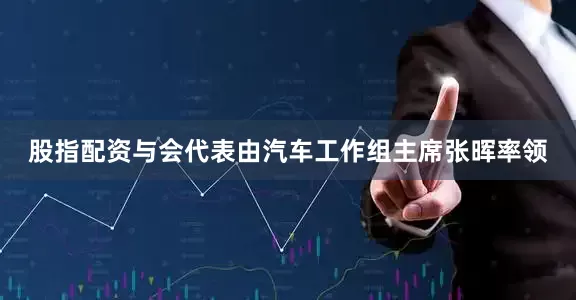 股指配资与会代表由汽车工作组主席张晖率领