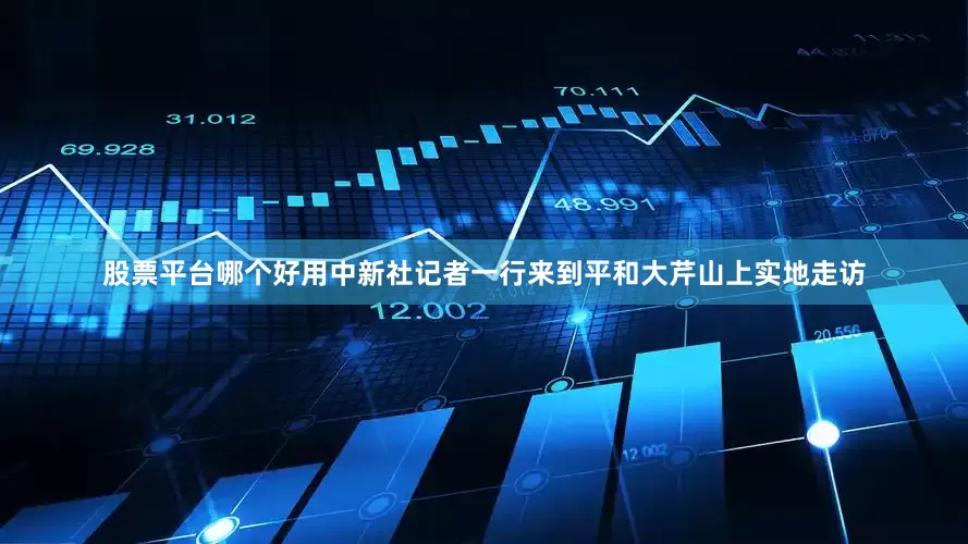 股票平台哪个好用中新社记者一行来到平和大芹山上实地走访
