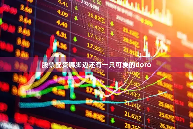 股票配资哪脚边还有一只可爱的doro