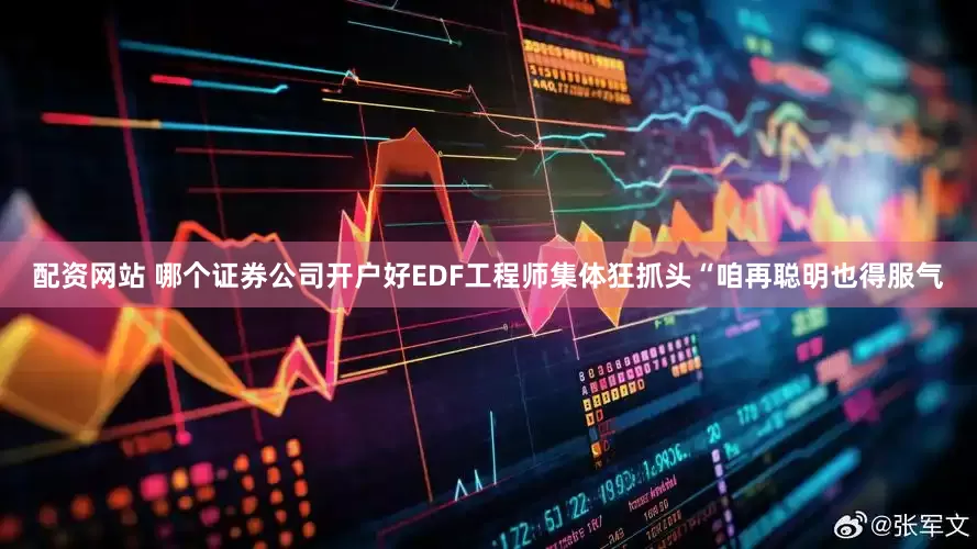 配资网站 哪个证券公司开户好EDF工程师集体狂抓头“咱再聪明也得服气